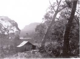 narcissus hut nic haygarth mccoy s hut as it looked in 1951 mount oakleigh and lake ayr for a