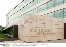 In their annual letter, bill and melinda gates look back at 20 years of their foundation. Strategie Der Bill Gates Foundation