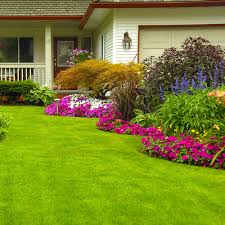 Slight turns can be made with tine. How To Aerate Your Lawn The Home Depot
