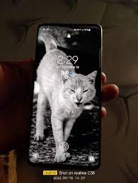 Samsung Galaxy S10 Gintaa Com