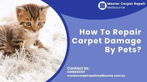 how to repair carpet damage by pets