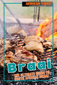 ultimate guide to south african braai