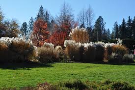 gardening ornamental gres provide