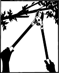 pruning clipart - Clip Art Library