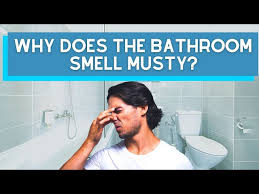 Bathroom Smells Musty Causes And