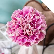 Generally though, peonies symbolise prosperity, good luck, love and honour. What Flower Symbolizes Mother S Day Holex Flower Blog
