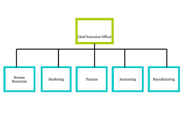 Organisational Structure Of A Business Ppt Video Online