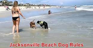 jacksonville beach dog rules florida