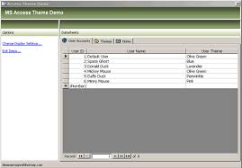 Changing Themes In Microsoft Access 2003 Database Solutions For
