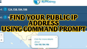 public ip address using cmd i thinq