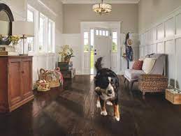 12 forgiving floors for homes with pets