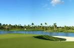 The Lakes Barcelo Golf Course in Bavaro, La Altagracia, Dominican ...