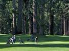 Northwood Golf Club | SonomaCounty.com