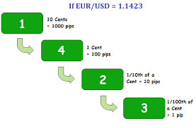 Pips Pipettes And Lots In Forex