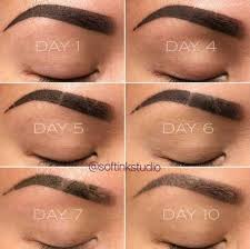 powder brows aftercare extended day by