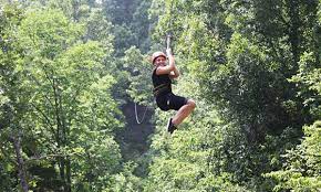 zipline canopy tour mammoth cave