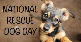 A day in which we celebrate and encourage the adoption of dogs from rescues and shelters. National Rescue Dog Day Ways To Celebrate And Shelter Dog Facts