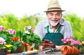 gardening helps seniors with dementia