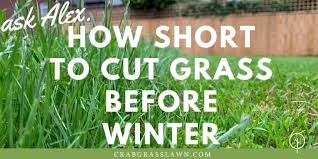 cut gr before winter