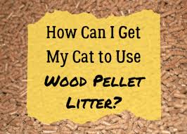 your cat to use wood pellet litter