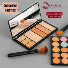 concealer palette manufacturer for face