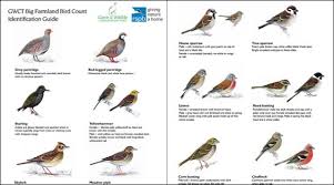 Farmland Bird Id Guide Game And Wildlife Conservation Trust
