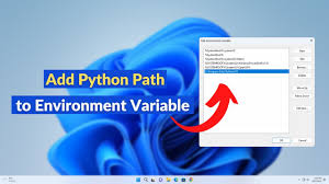 add python path to environment variable