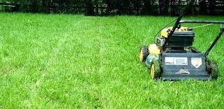Lawn Cutting Height Grass Cutting Height Before Winter Victa