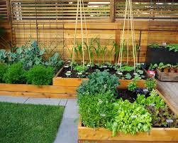 60 best balcony vegetable garden ideas