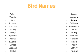 210 cool and fantasy bird names ideas