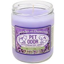 Find great deals on ebay for pet odor eliminator candle. Pet Odor Exterminator Candle Lavender With Chamomile Jar 13 Oz Walmart Com Walmart Com