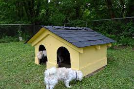 20 Free Diy Dog House Plans Care Com