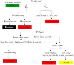 Full Text Objective Triage In The Disaster Setting Will