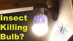 Can This Normal Light Bulb Kill Mosquitoes Flying Insect Moth Wasp Zapper Test Review Youtube