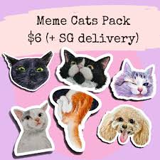 Memes about a dog, a frog, emoticons and a few more popular memes in this collection. Cat Meme Sticker Pack Waterproof Design Craft Art Prints On Carousell