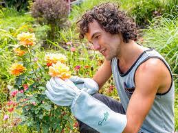 The Best Gardening Gloves You Can Buy