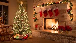 Learn more about christmas trees, including their history. History Of Christmas Trees History