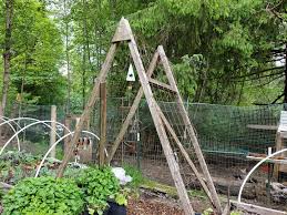 build an a frame trellis for the garden