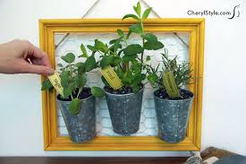 diy container herb garden everyday dishes