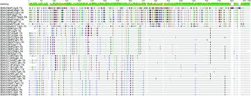 Nucleotide Sequence Polymorphism Chart For Indian Hd Cases