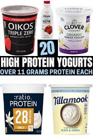 20 best high protein yogurt options to