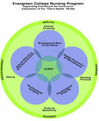 Critical Thinking and Reflection for Mental Health Nursing     Graphic Representation of Paul Elder Critical Thinking Framework