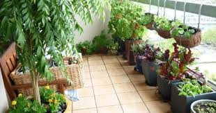 Kitchen Garden On Your Terrace