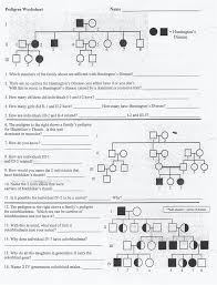 Pedigree Practice Worksheet Answers Kids Activities