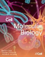 molecular biology sciencedirect
