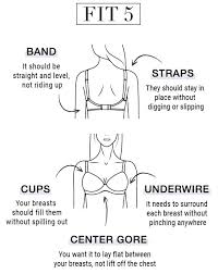 how to measure bra size bra size