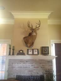 Decorating Around A Deer Head