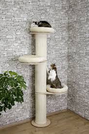 cat tree dolomit tower lowest s