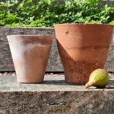 Antique Terracotta Flower Pots