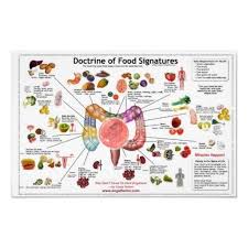 Doctrine Of Food Signatures Print Homeopathy Health Heal